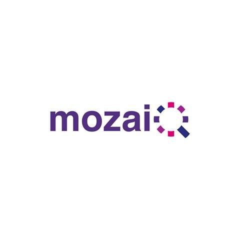 MozaiQ LGBT Association