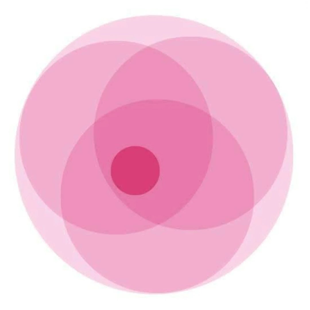 Endometriosis Foundation