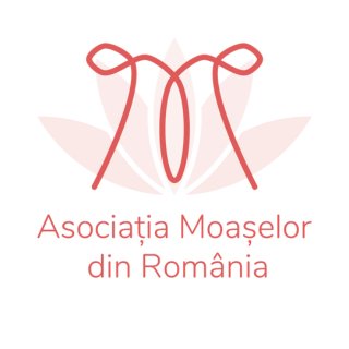 Romanian Midwives Association (AMÿR)