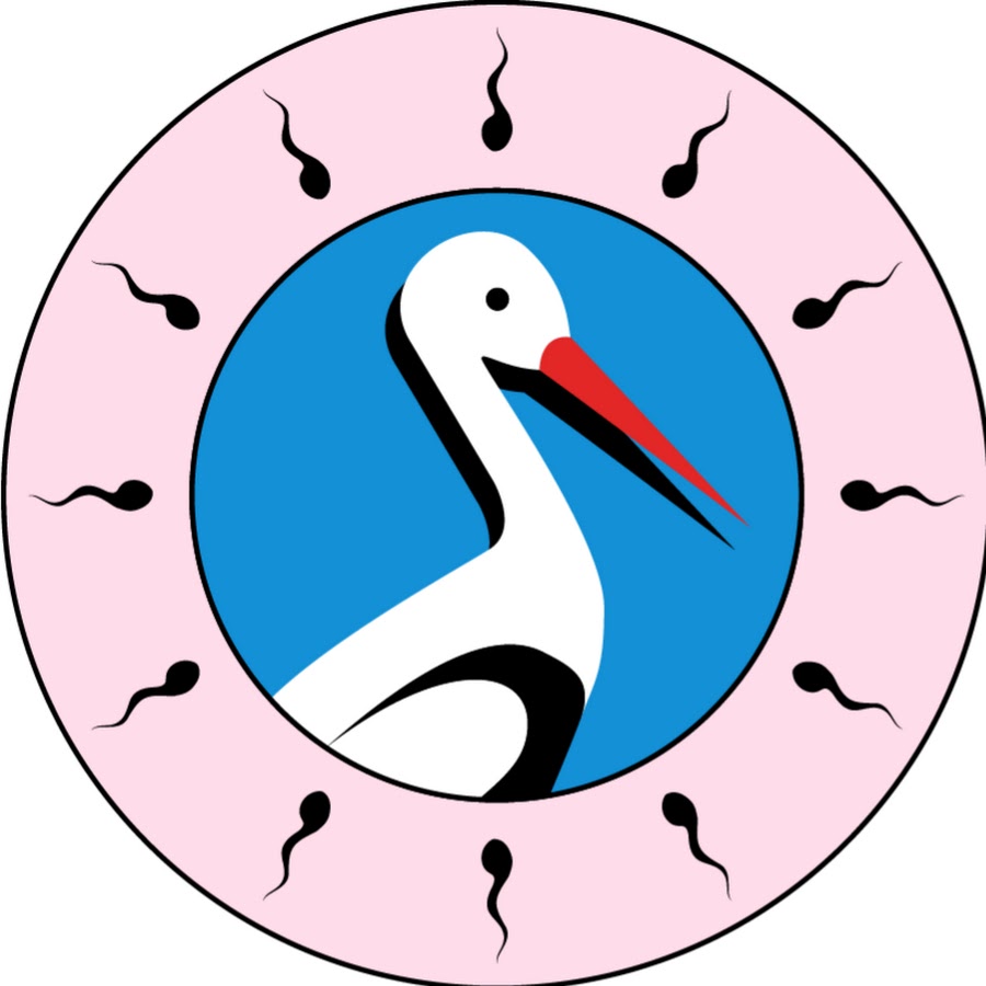 SEX vs THE STORK Association / Asociaţia SEXUL vs BARZA